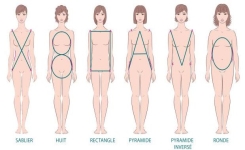 Découvrez quel est votre morphotype pour perdre du ventre 