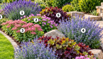 6 plantes faciles d’entretien pour des bordures de jardin presque sans effort