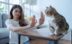 Pourquoi faut-il se méfier des personnes qui n’aiment pas les chats ?