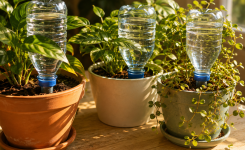 Comment arroser les plantes pendant les vacances sans système coûteux