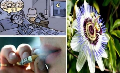 Cette plante apaise l’anxiété, favorise le sommeil et peut vous aider à arrêter de fumer