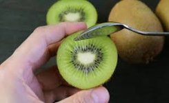 Les bienfaits de manger un kiwi chaque jour 