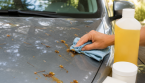 Comment enlever la résine des arbres sur une carrosserie ?