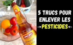 Pesticides : comment réduire leur présence sur vos fruits et légumes 🍎🥦