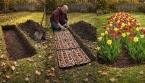 Planter des bulbes avec des boîtes à œufs : une astuce simple et efficace