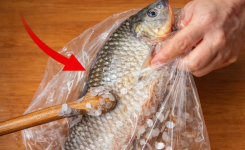 Comment enlever les écailles d’un poisson avec un sac plastique