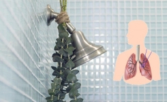 Pourquoi suspendre de l’eucalyptus dans votre douche ?