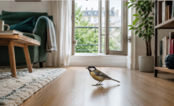 Un oiseau est entré chez vous ? Voici ce que cela peut signifier