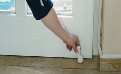 Comment se débarrasser des insectes dans la maison ?