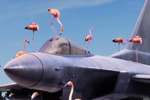 court-métrage Code Rose