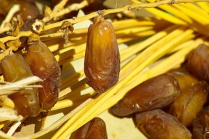 les dattes sont bénéfiques pour l’organisme